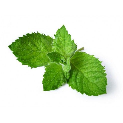 Olejek Mięta Pieprzowa 15ml Bassau