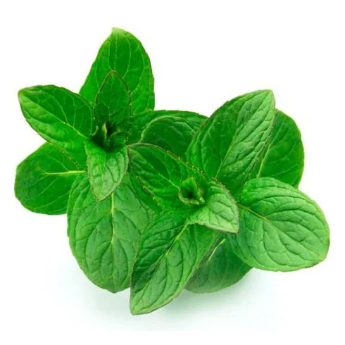 Olejek Mięta Bergamotowa 15ml Bassau