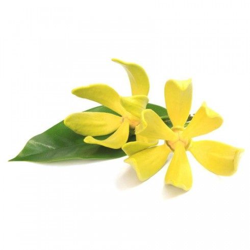 Olejek Ylang Ylang 15ml Bassau