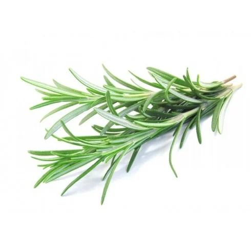 Olejek rozmaryn 15ml Bassau