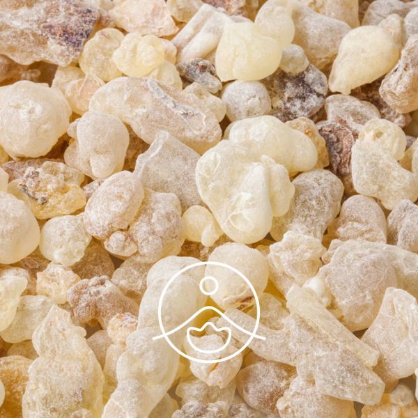 Organiczny olejek eteryczny Florihana Copaiba 5g