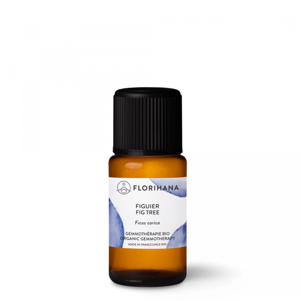 Organiczny ekstrakt z drzewa figowego Florihana Gemmotrapia Ficus carica 15ml