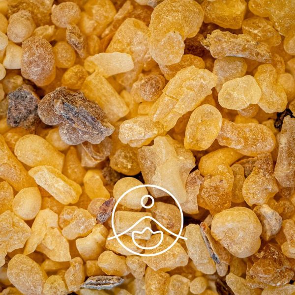 Organiczny olejek eteryczny Florihana Kadzidłowiec Frankincense 15g