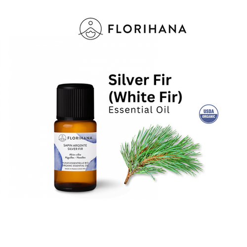  Olejek eteryczny Florihana Jodła srebrzysta (jodła biała) Silver Fir 5g