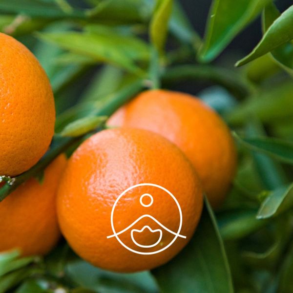 Organiczny olejek eteryczny Florihana Czerwona Mandarynka 5g
