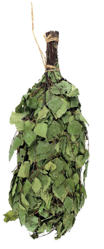 Brzozowe witki do sauny RENTO