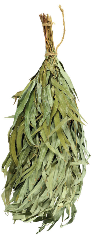 Witki do sauny Eukaliptus RENTO